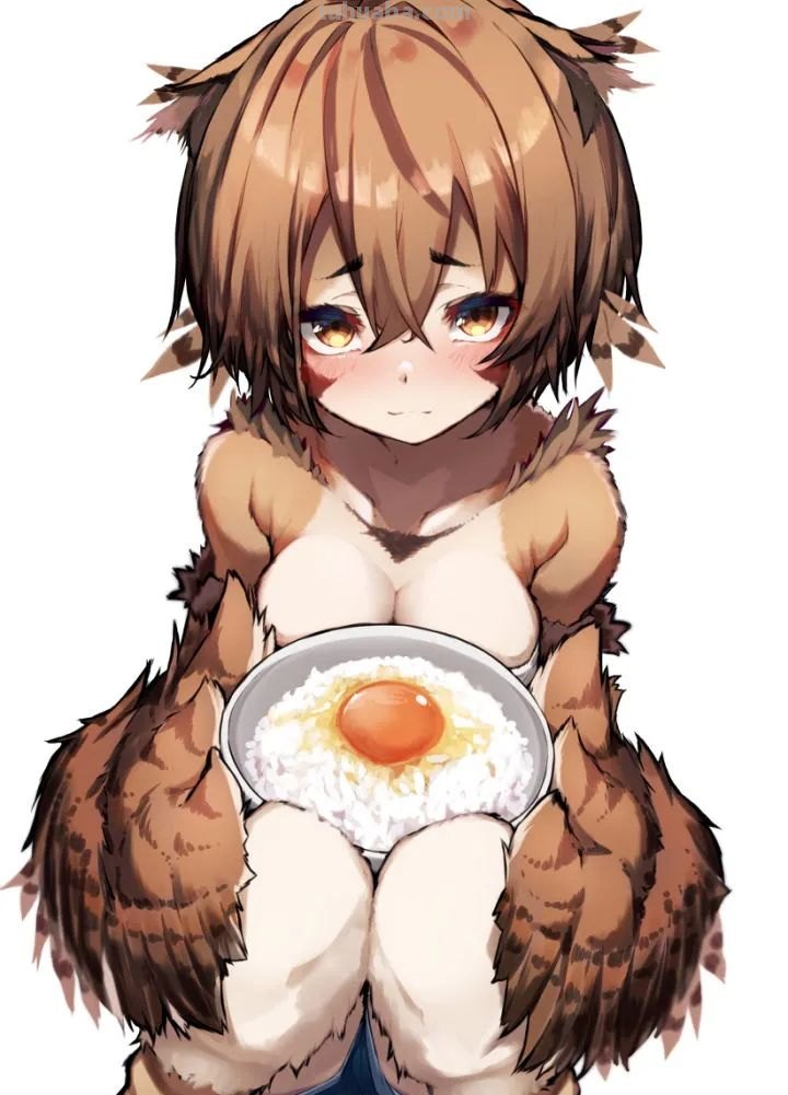 毛茸茸的兽耳福瑞插画壁纸特辑