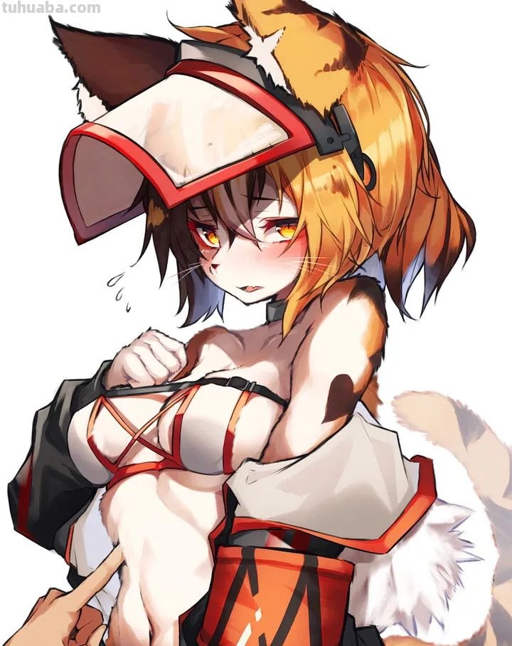 毛茸茸的兽耳福瑞插画壁纸特辑