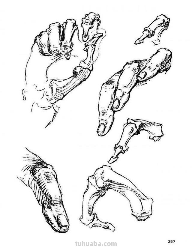 人物速写手人物速写手的画法图片 人物速写手人物速写手的画法图片