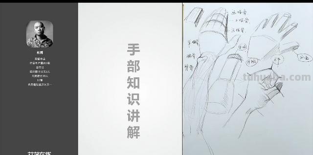 人物速写手人物速写手的画法图片 人物速写手人物速写手的画法图片