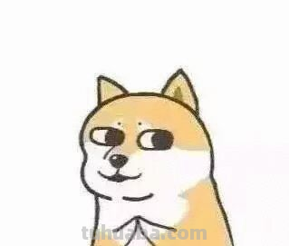 狗狗的速写狗狗的速写图片