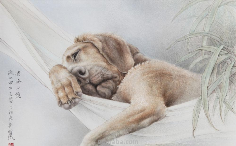 狗狗的速写狗狗的速写图片 狗狗的速写狗狗的速写图片