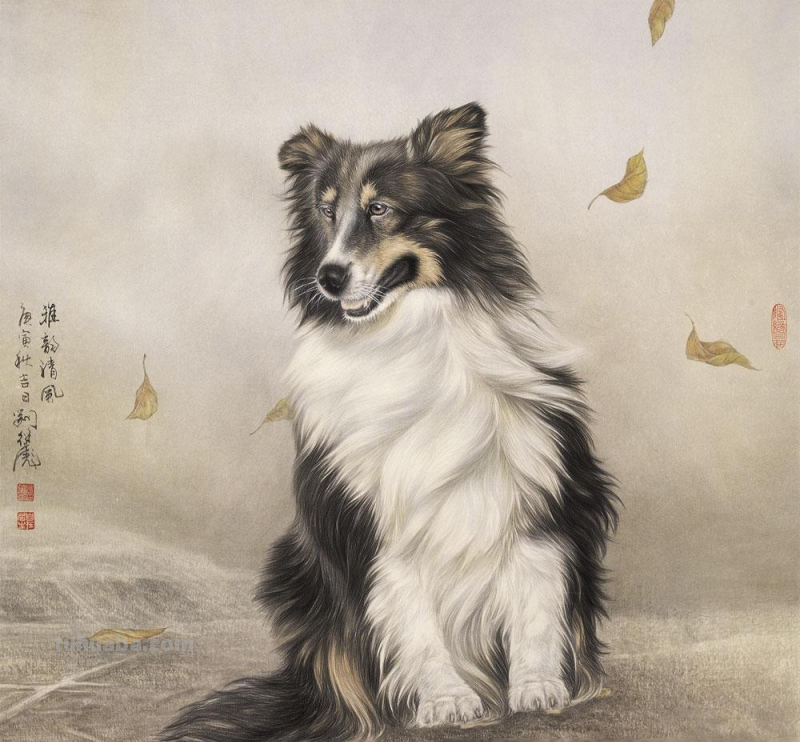 狗狗的速写狗狗的速写图片 狗狗的速写狗狗的速写图片