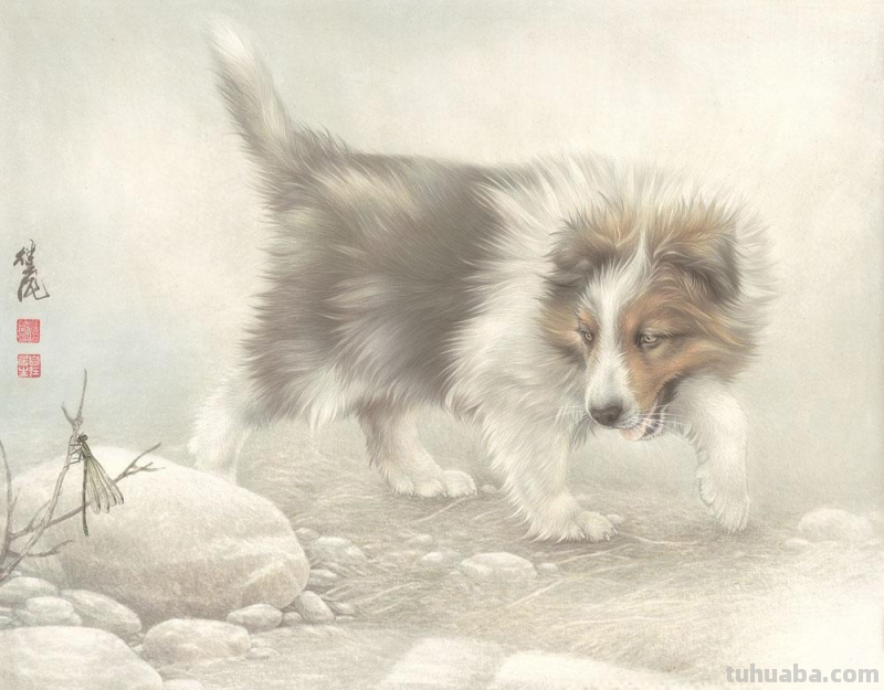 狗狗的速写狗狗的速写图片 狗狗的速写狗狗的速写图片