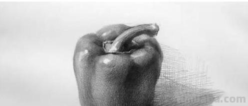 简单速写静物速写静物图片简单 简单速写静物速写静物图片简单