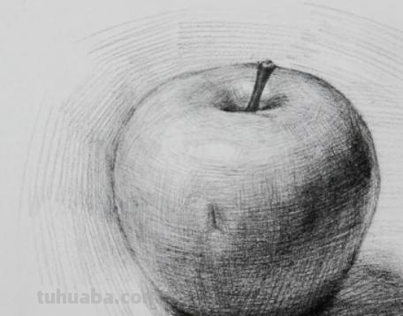 树的画技巧法速写树的画技巧法速写图片 树的画技巧法速写树的画技巧法速写图片