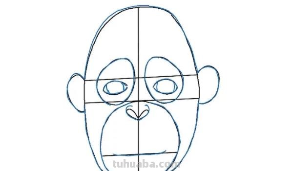 猴子的速写猴子的速写画