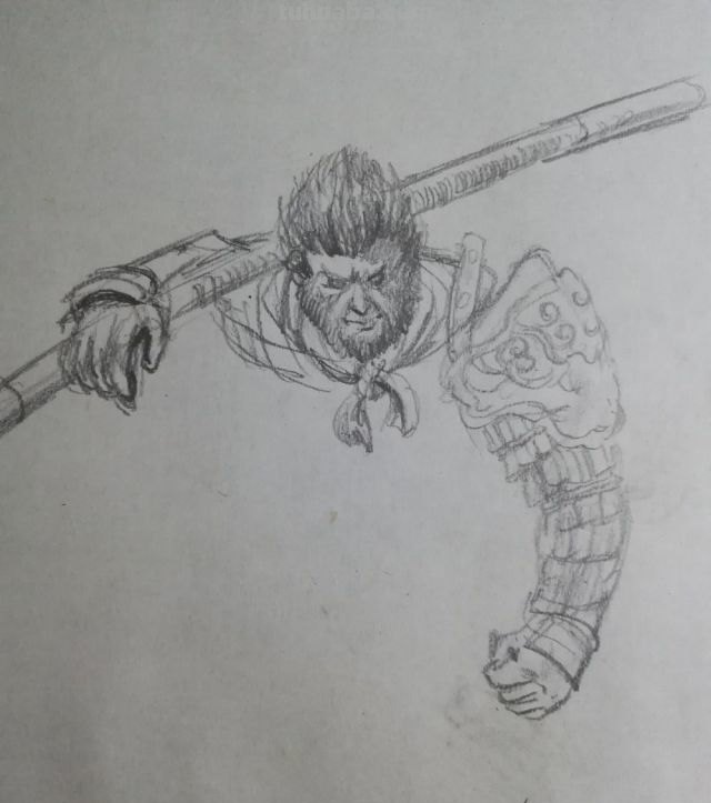 猴子的速写猴子的速写画