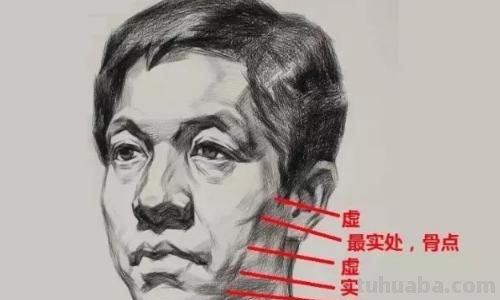 速写单个物体速写单个物体临摹