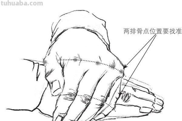 速写手画技巧法速写手画技巧法有哪些 速写手画技巧法速写手画技巧法有哪些