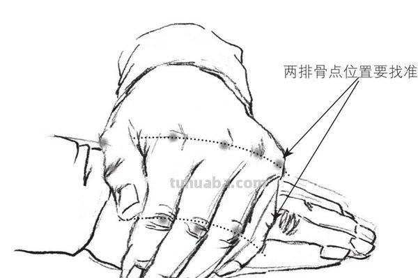 速写手结构速写手结构图