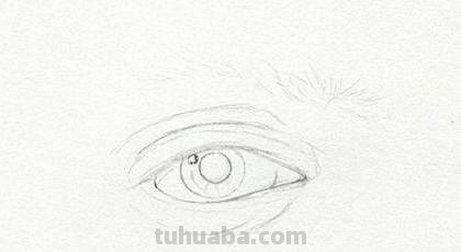 速写眼睛步骤速写眼睛步骤图