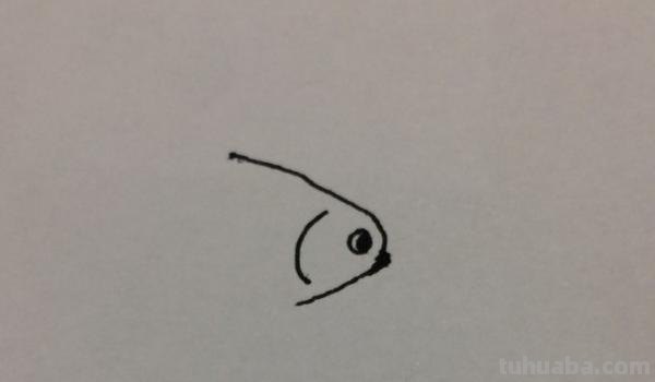 速写的金鱼速写金鱼的画法