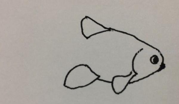速写的金鱼速写金鱼的画法