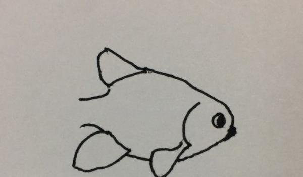 速写的金鱼速写金鱼的画法