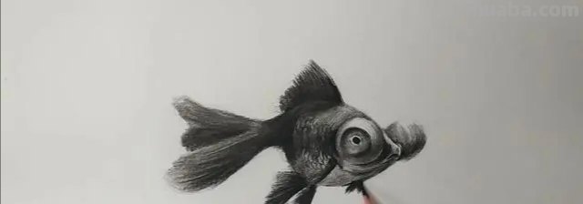 速写的金鱼速写金鱼的画法