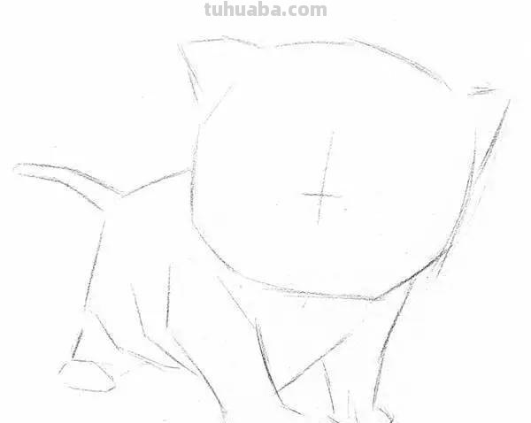 猫咪的速写猫咪的速写画