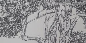 设计速写树设计速写树的画法 设计速写树设计速写树的画法