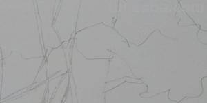 树速写写生树速写写生图片