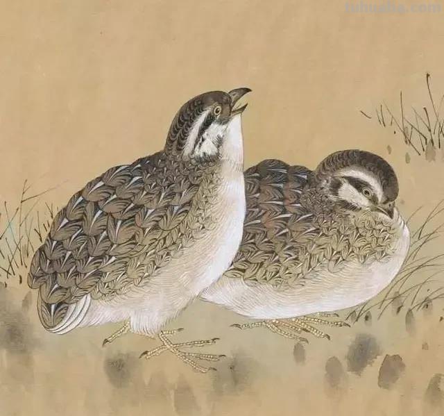 速写画技巧多久速写画技巧多久能学会