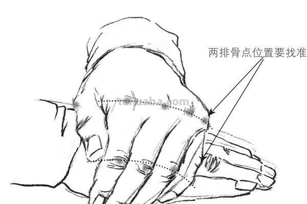 速写局部手速写局部手临摹图片