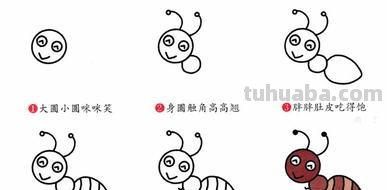 昆虫的速写昆虫速写图片