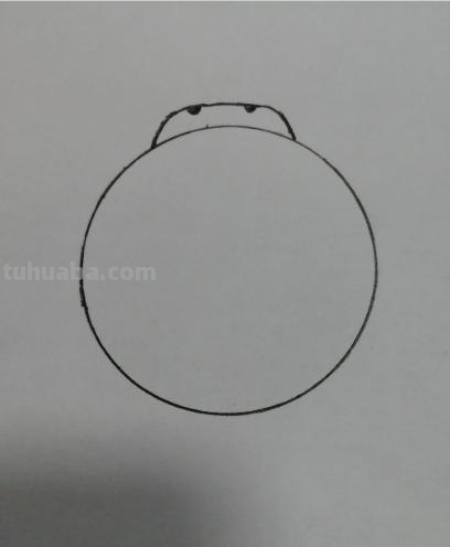昆虫的速写昆虫速写图片 昆虫的速写昆虫速写图片