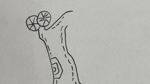 速写茅草屋速写茅草屋怎么画