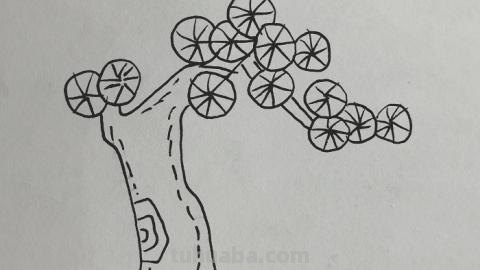 速写茅草屋速写茅草屋怎么画