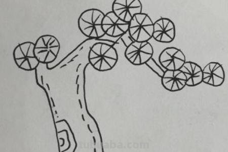 速写茅草屋速写茅草屋怎么画