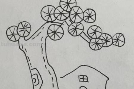 速写茅草屋速写茅草屋怎么画