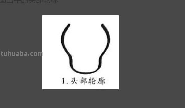 动物速写牛动物牛速写图片 动物速写牛动物牛速写图片