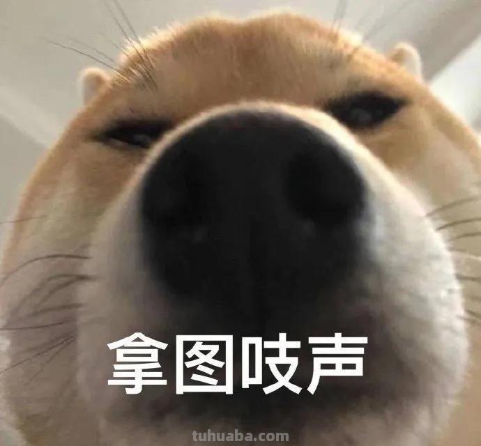 简笔画教程合集 ​