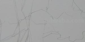 景观树速写景观树木速写