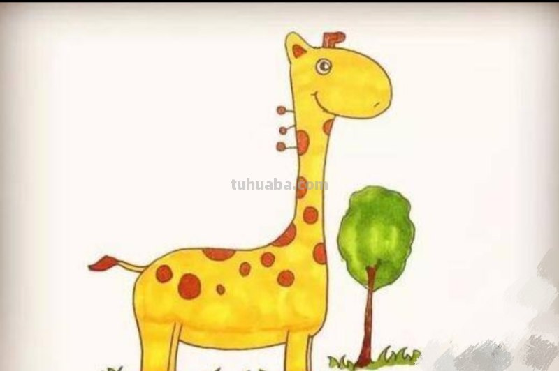 速写长颈鹿速写长颈鹿教案