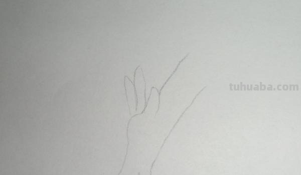 速写长颈鹿速写长颈鹿教案