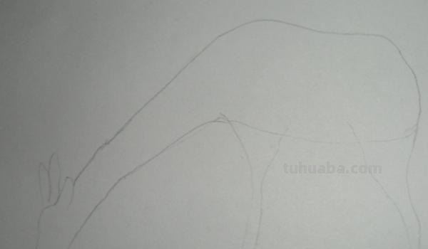 速写长颈鹿速写长颈鹿教案