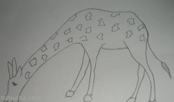 速写长颈鹿速写长颈鹿教案