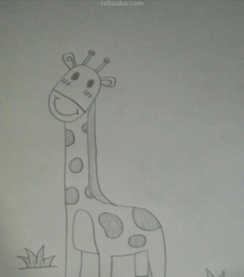 速写长颈鹿速写长颈鹿教案