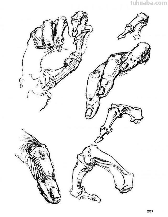 速写手步骤速写手步骤图 速写手步骤速写手步骤图