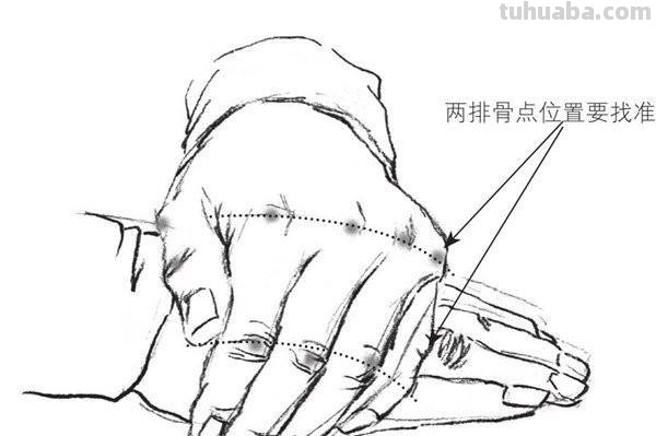 手速写素材速写手部素材