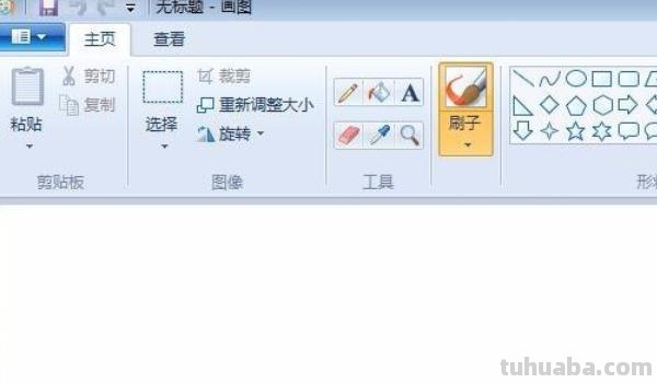 郁金香速写郁金香速写图片
