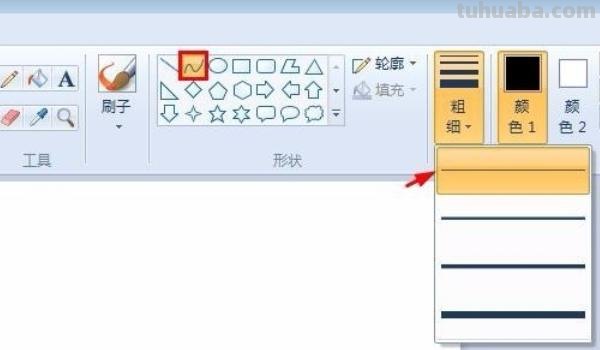郁金香速写郁金香速写图片
