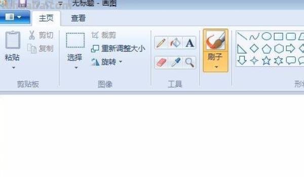 速写郁金香郁金香的速写