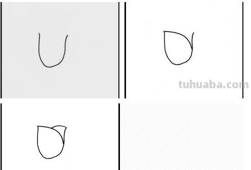 速写郁金香郁金香的速写