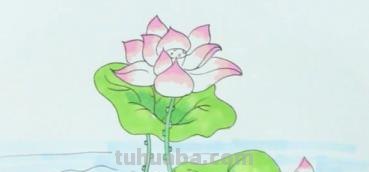 速写荷花池速写荷花池塘 速写荷花池速写荷花池塘