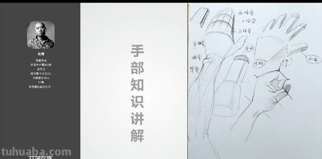 手结构速写手的速写结构 手结构速写手的速写结构