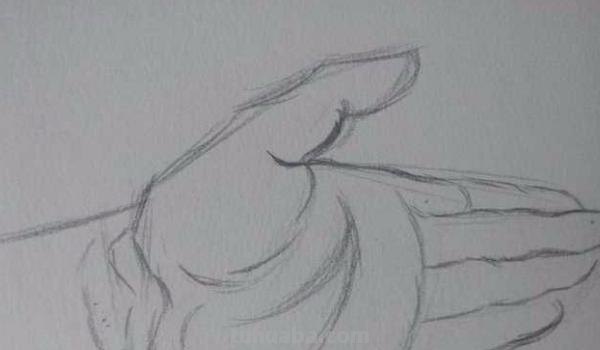 手结构速写手的速写结构 手结构速写手的速写结构