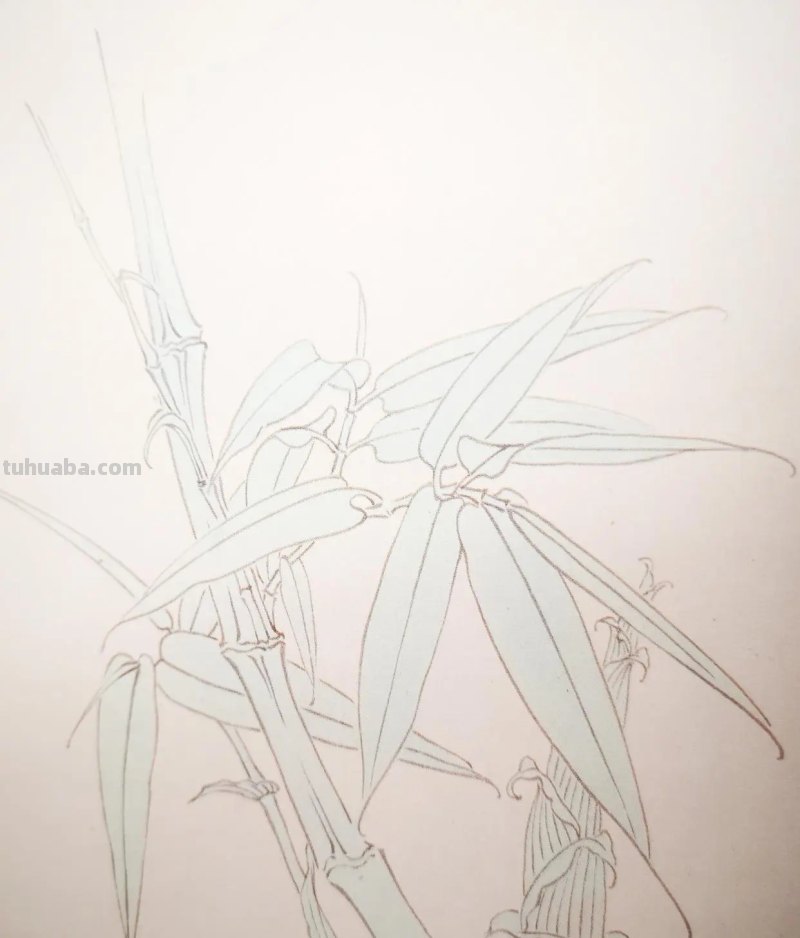 竹子速写画技巧竹子速写画技巧视频