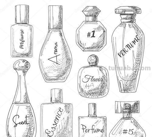 创意速写瓶子创意速写瓶子图片